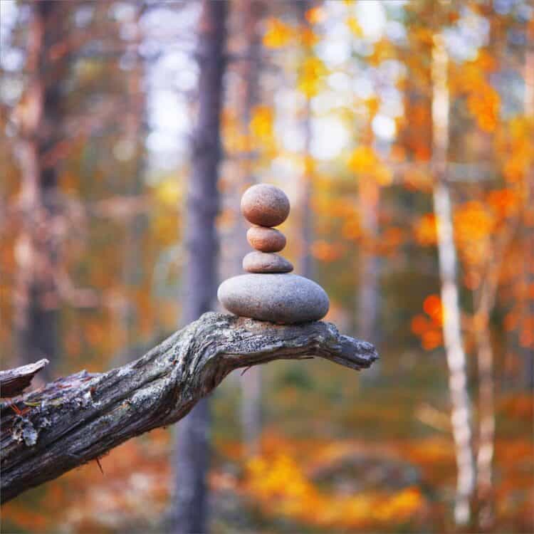 Balance of nature - Jonna Jinton Sweden