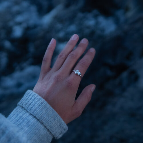 Alternative view of Skir Ring